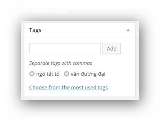 them-tag-post-wordpress