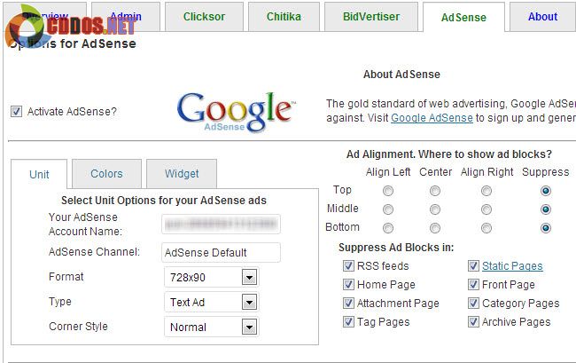 Chèn Google Adsense vào WordPress