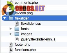Copy file FlexSlider 2 vào theme