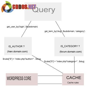 Ảnh mô tả tổng quát từ Query tới WordPress Core